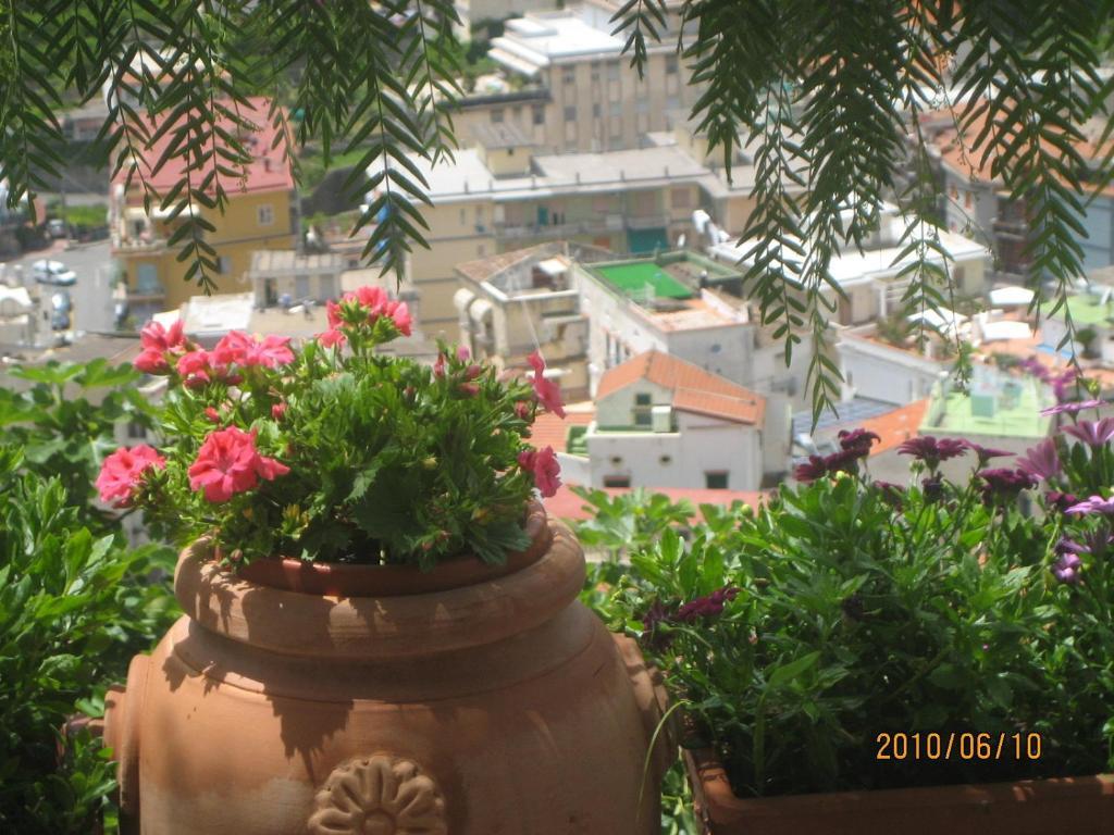 Villa Marietta Minori Eksteriør billede