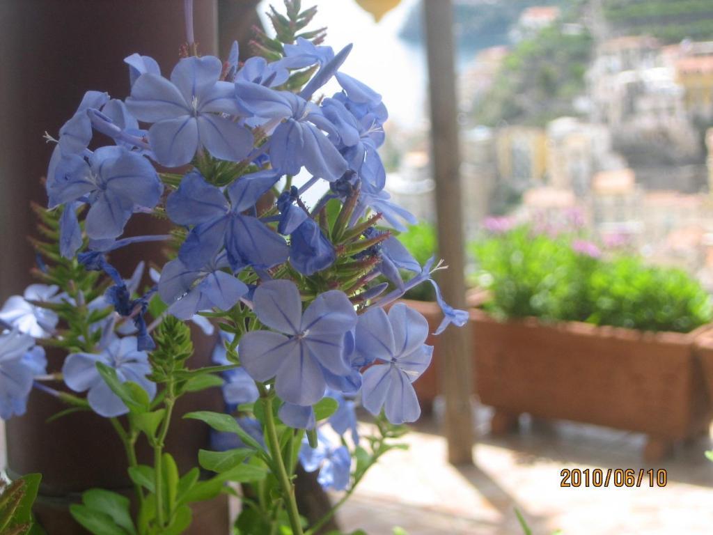Villa Marietta Minori Eksteriør billede