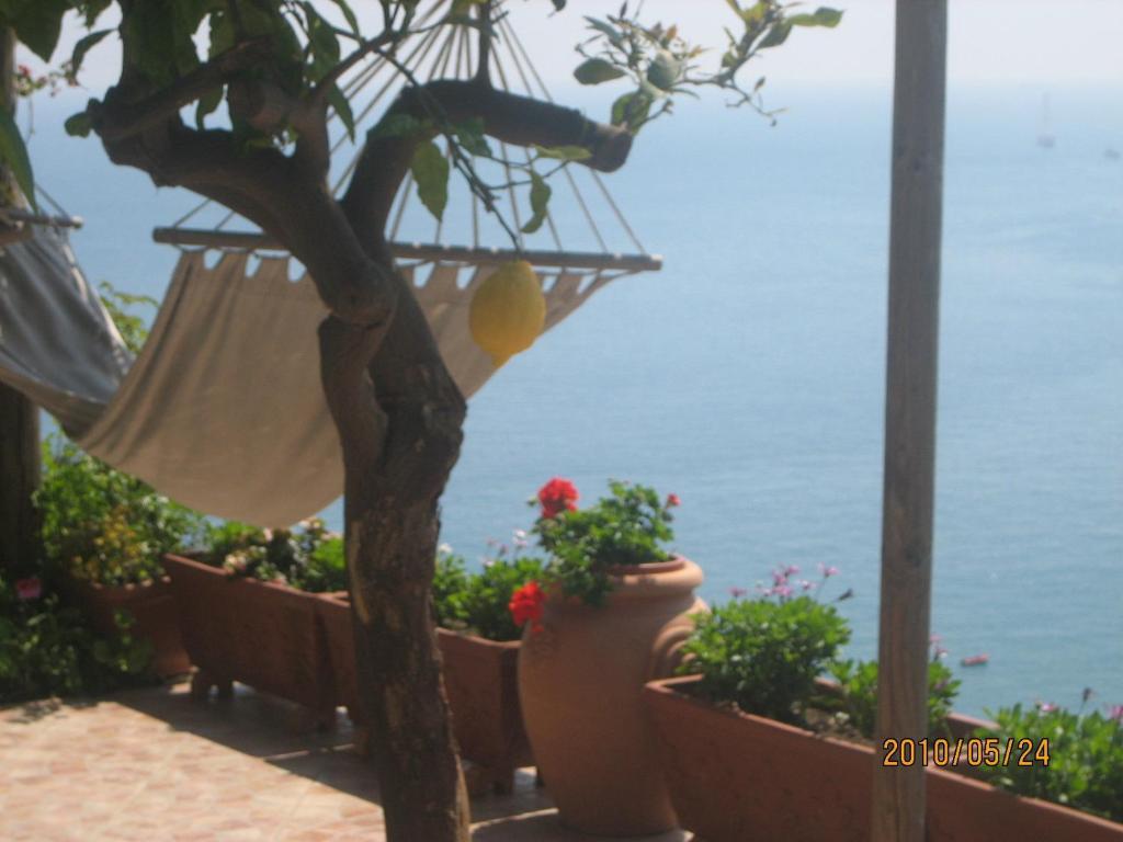 Villa Marietta Minori Eksteriør billede
