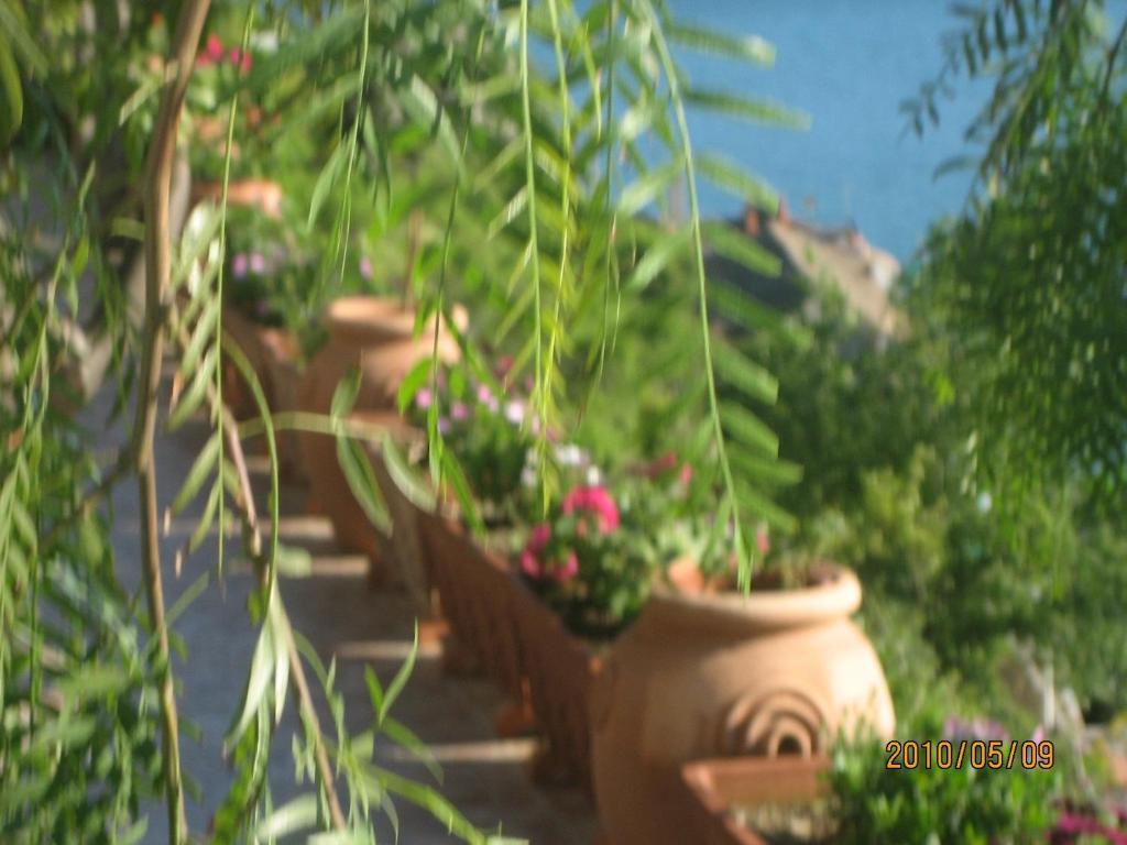Villa Marietta Minori Eksteriør billede